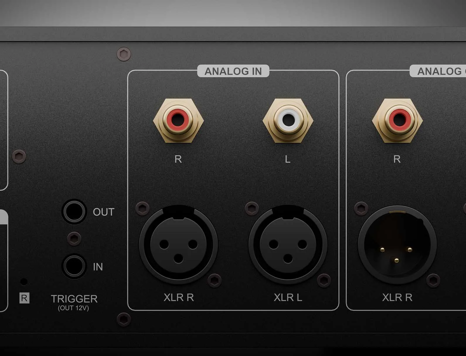 Analog input block on the Eversolo DMP-A8 Gen 2 with RCA right and left and female XLR right and left, beside the analog output block
